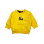 d2 sweater geel klein