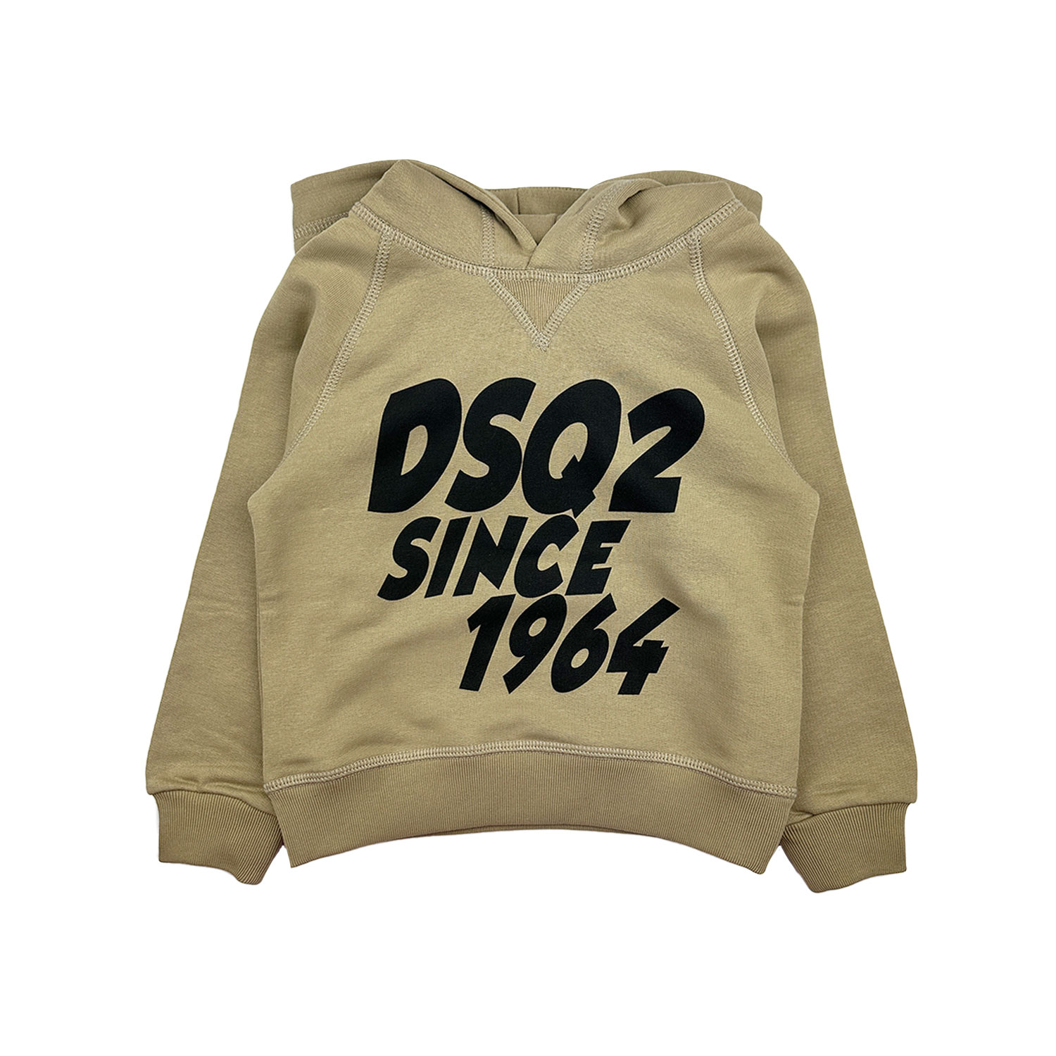 d2-hoodie-bruin